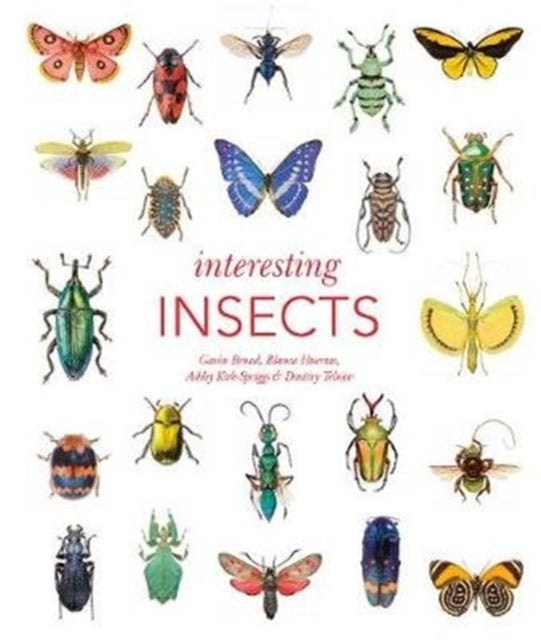 Book cover of: Interesting Insects. By: Gavin Broad