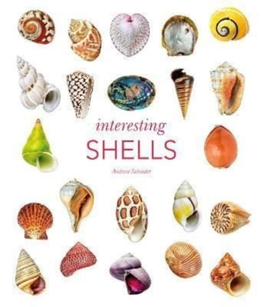 Book cover of: Interesting Shells. By: Andreia Salvador