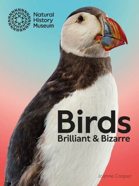 Book cover of: Birds. By: Jo Cooper