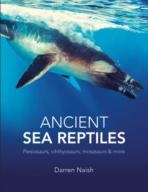 Ancient Sea Reptiles, Plesiosaurs, ichthyosaurs, mosasaurs and more