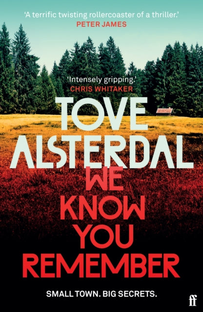 Book cover of: We Know You Remember. By: Tove Alsterdal