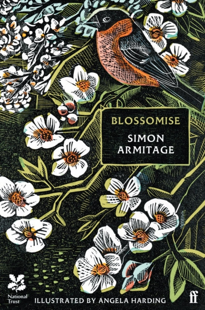 Blossomise 9780571388417 ARMITAGE S