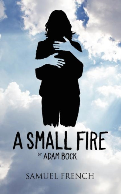Book cover of: Small Fire. By: Adam Bock