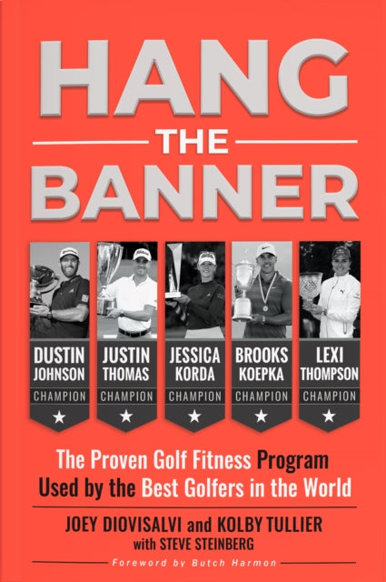 Book cover of: Hang The Banner. By: Joey Diovisalvi