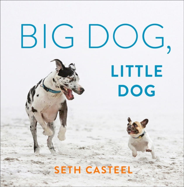 Book cover of: Big Dog, Little Dog. By: Seth Casteel