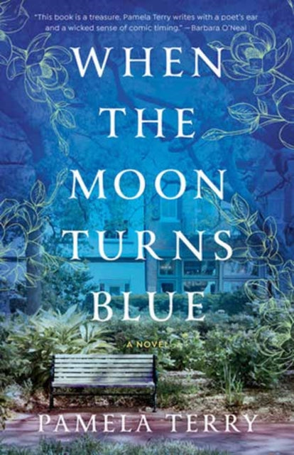 Book cover of: When the Moon Turns Blue. By: Pamela Terry