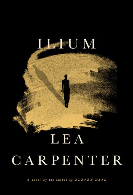 Book cover of: Ilium
