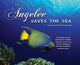 Book cover of: Angelee Saves the Sea