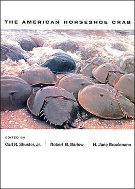 Book cover of: American Horseshoe Crab