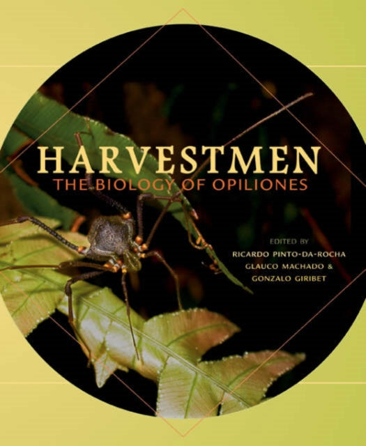 Book cover of: Harvestmen