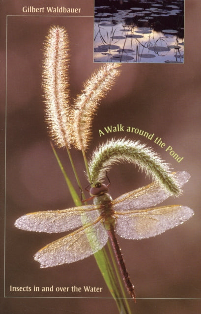 Book cover of: Walk around the Pond. By: Gilbert Waldbauer