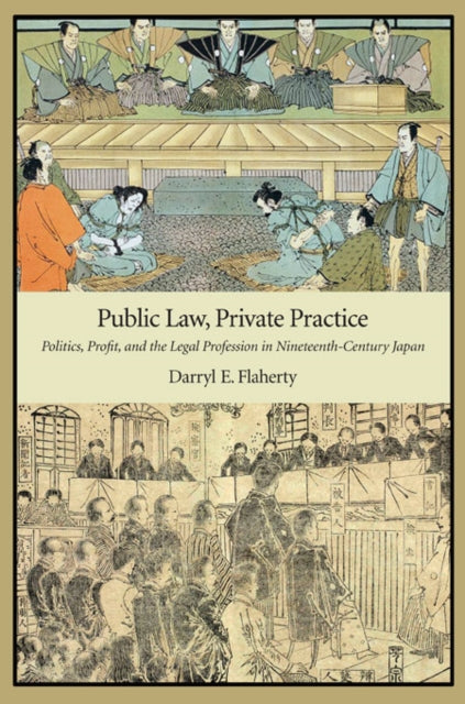 Book cover of: Public Law, Private Practice