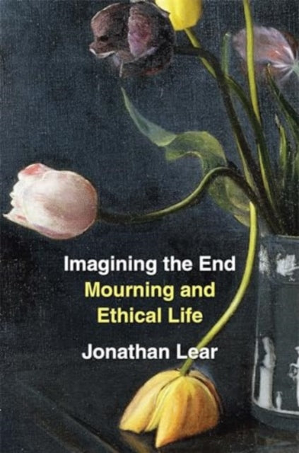 Book cover of: Imagining the End