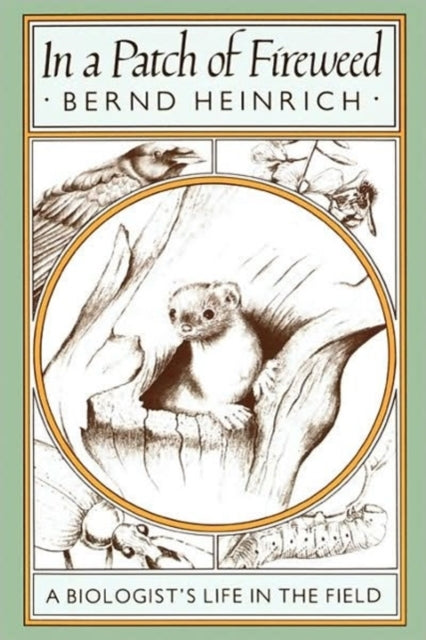 Book cover of: In a Patch of Fireweed. By: Bernd Heinrich