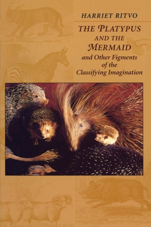 Platypus and the Mermaid