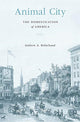Book cover of: Animal City. By: Andrew A. Robichaud