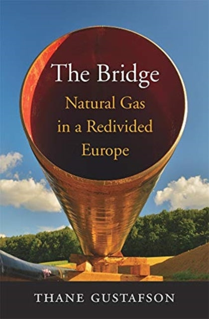 Book cover of: Bridge. By: Thane Gustafson