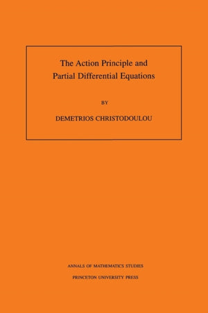 Action Principle and Partial Differential Equations