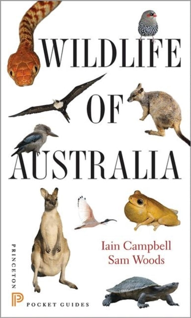 Book cover of: Wildlife of Australia. By: Iain Campbell