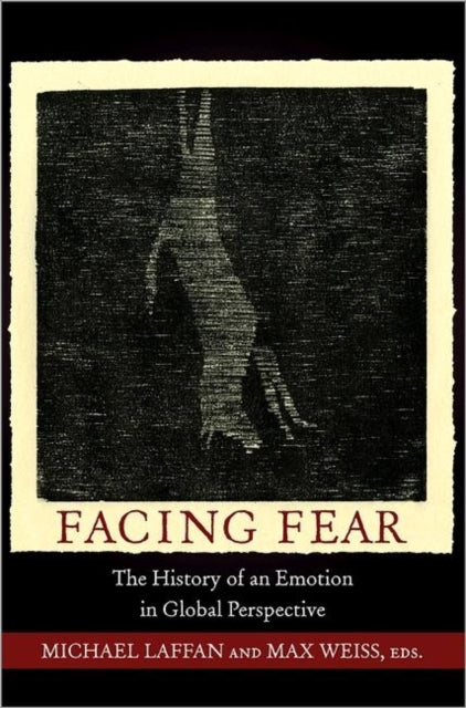 Book cover of: Facing Fear. By: Michael Francis Laffan