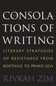 Book cover of: Consolations of Writing. By: Rivkah Zim