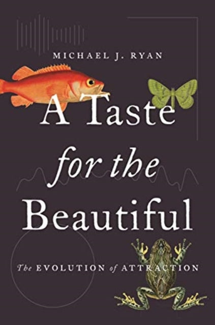 Book cover of: Taste for the Beautiful. By: Michael Ryan undifferentiated