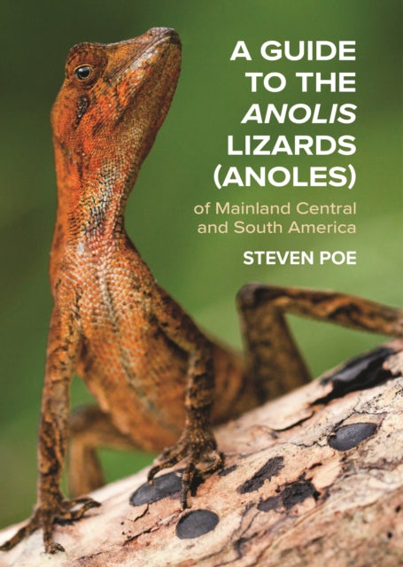 Book cover of: Guide to the Anolis Lizards (Anoles) of Mainland Central and South America. By: Steven Poe