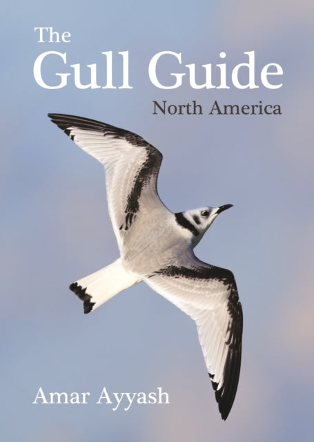 Book cover of: Gull Guide. By: Amar Ayyash