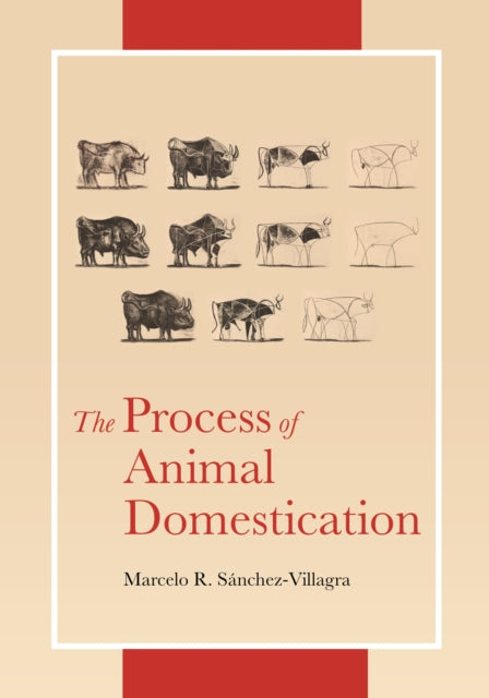 Book cover of: Process of Animal Domestication. By: Marcelo Sánchez-Villagra