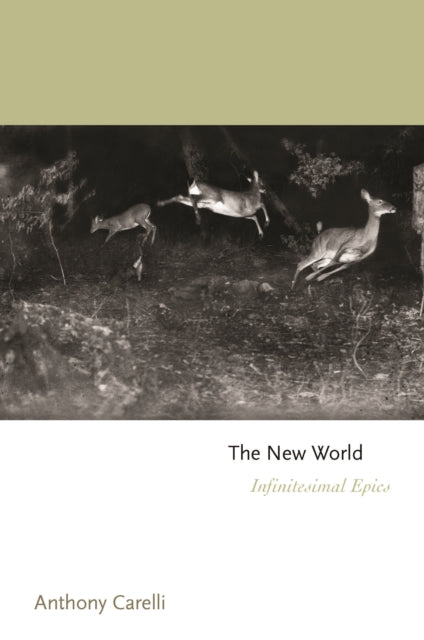 Book cover of: New World. By: Anthony Carelli
