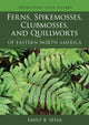 Book cover of: Ferns, Spikemosses, Clubmosses, and Quillworts of Eastern North America. By: Emily Sessa