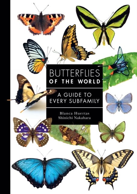 Book cover of: Butterflies of the World