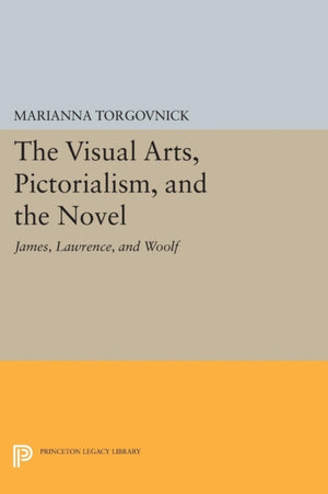Visual Arts, Pictorialism, and the Novel