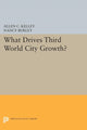 Book cover of: What Drives Third World City Growth?. By: Allen C. Kelley