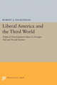 Book cover of: Liberal America and the Third World. By: Robert A. Packenham