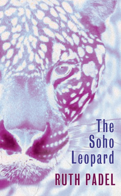 Book cover of: Soho Leopard