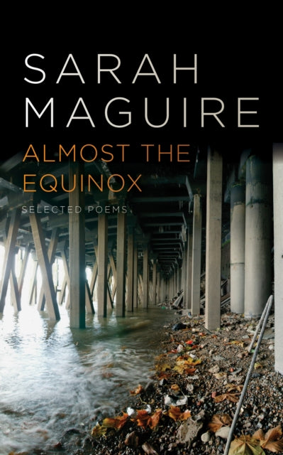 Book cover of: Almost the Equinox. By: Sarah Maguire
