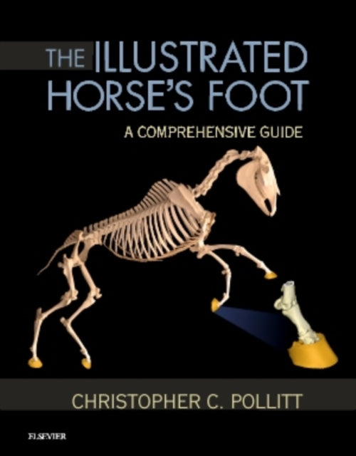 Illustrated Horse's Foot