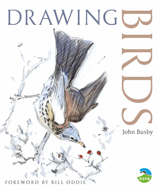 Book cover of: Drawing Birds. By: John Busby