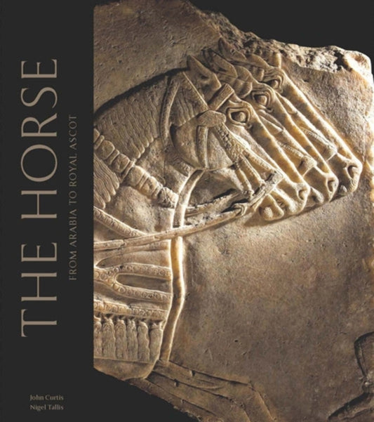 Book cover of: Horse