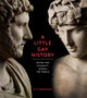 Little Gay History