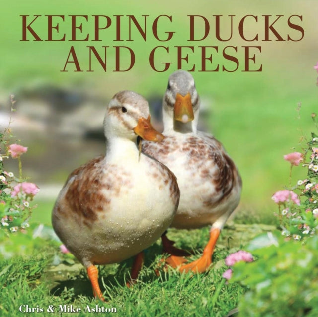 Book cover of: Keeping Ducks and Geese. By: Chris Ashton