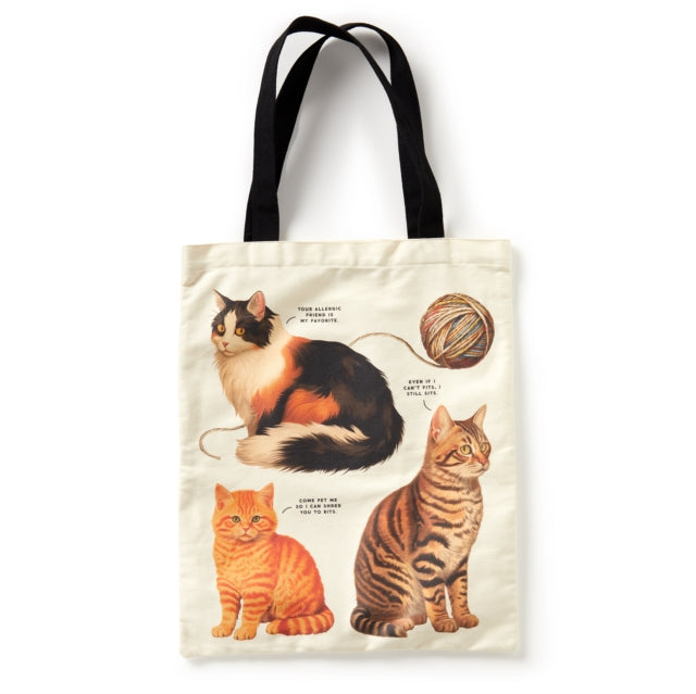 Book cover of: Moody Cats Canvas Tote