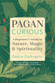 Book cover of: Pagan Curious. By: Debra DeAngelo