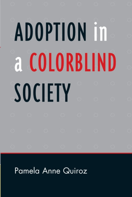 Book cover of: Adoption in a Color-Blind Society. By: Pamela Anne Quiroz