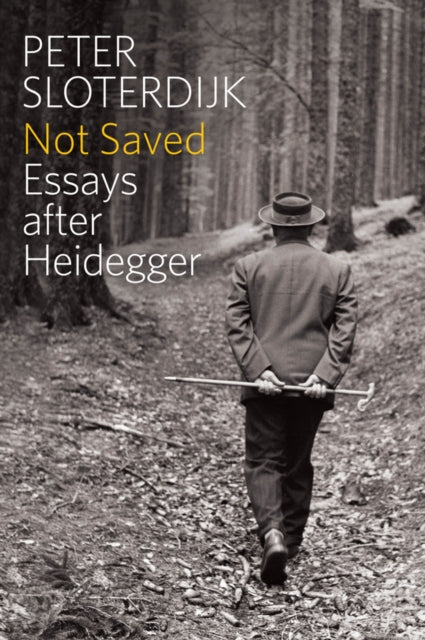 Book cover of: Not Saved. By: Peter Sloterdijk