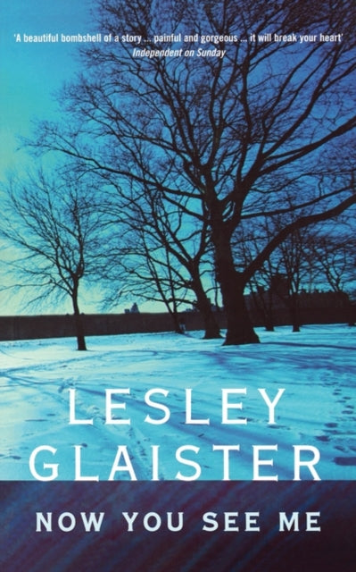 Book cover of: Now You See Me. By: Lesley Glaister