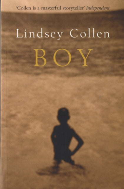 Book cover of: Boy. By: Lindsey Collen