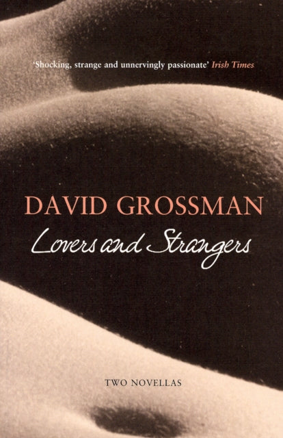 Book cover of: Lovers and Strangers. By: David Grossman