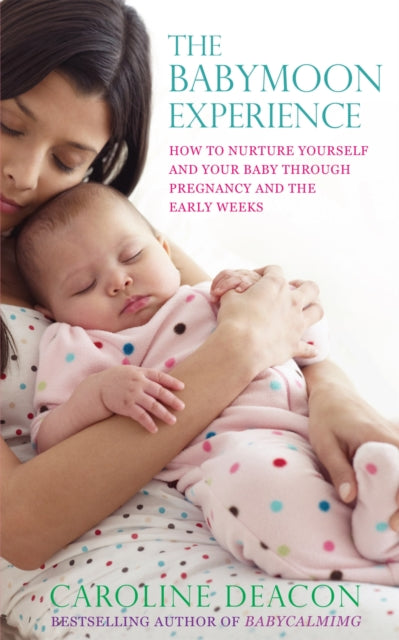 Book cover of: Babymoon Experience